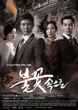 门窗seo优化报价